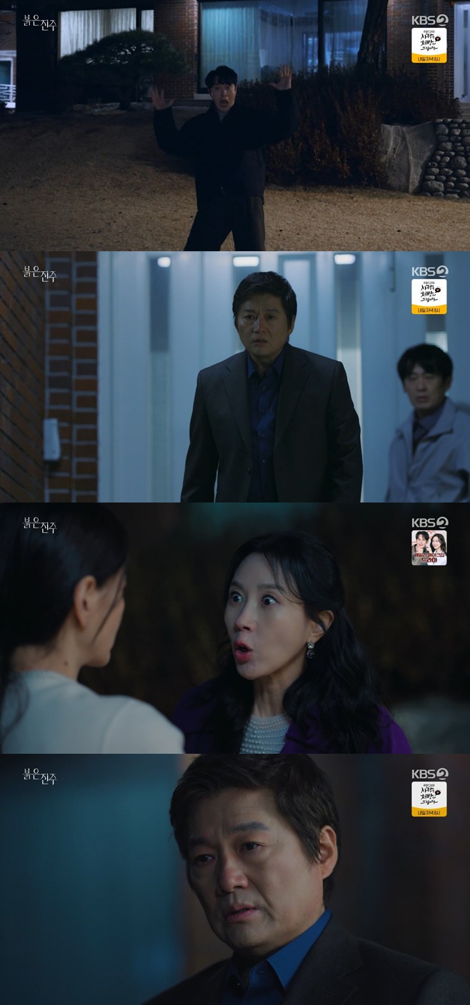 티브이데일리 포토