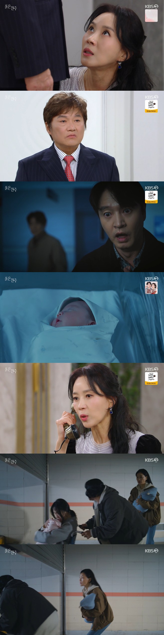 티브이데일리 포토