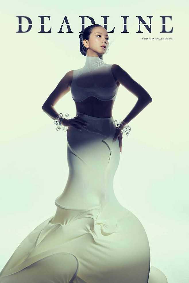 티브이데일리 포토