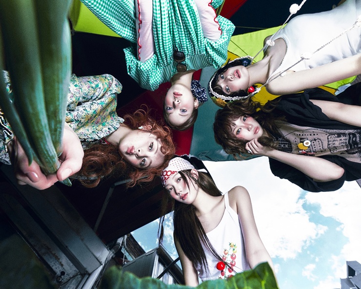 티브이데일리 포토