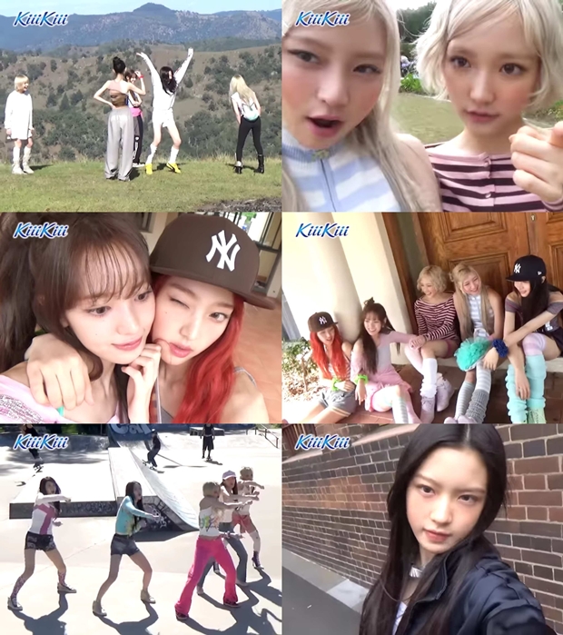 티브이데일리 포토