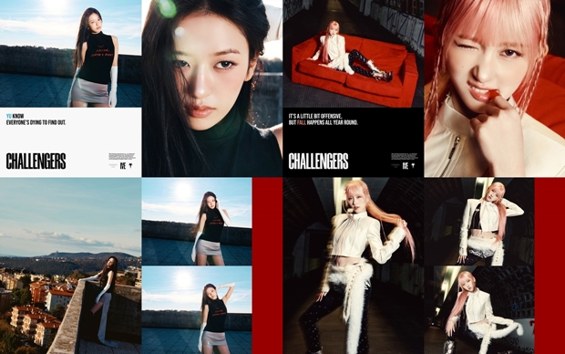 티브이데일리 포토