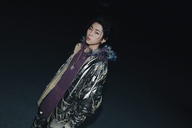 티브이데일리 포토