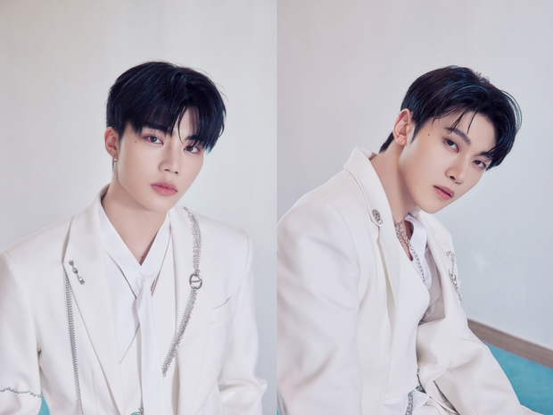 티브이데일리 포토