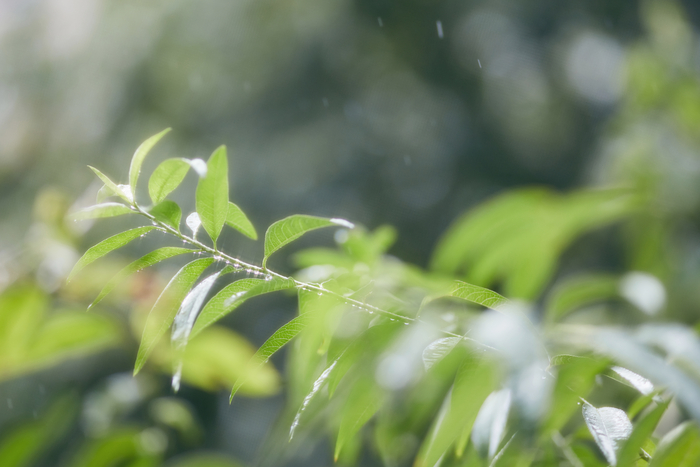 이성에게 관심을 드러내는 이른바 '플러팅'이 인간만의 행동은 아니라는 연구 결과가 나왔다. 사진=게티이미지
