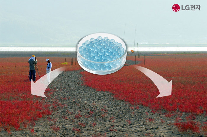 순천만 갯벌에 '마린 글라스'를 적용하는 모습 예시