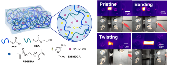 환경 안정성을 위한 비휘발성 이오노겔 전극을 활용한 고투명 고신축성 히터 모식도. (배진우 교수)
