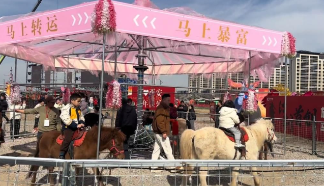 중국의 한 관광지가 실제 말을 이용해 회전 놀이시설을 운영했다가 동물학대 논란이 거세지자 결국 운영을 멈췄다. 사진=더우인