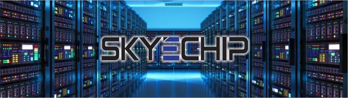 스카이칩