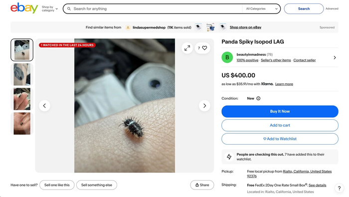 引用：ebay