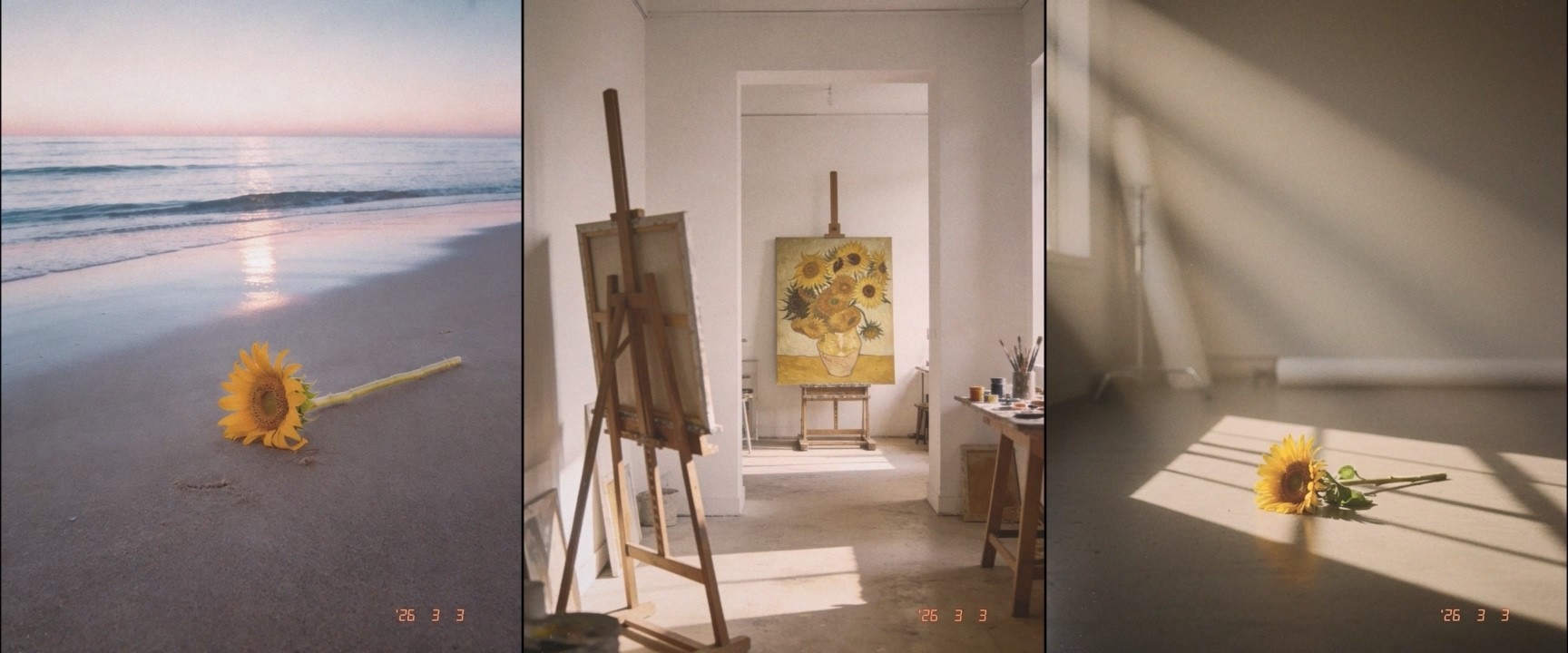 사진=알비더블유, DSP미디어