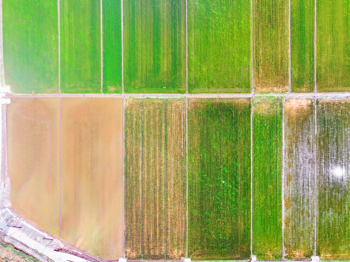 침수에 곳곳이 잠긴 농경지 모습. (사진=연합뉴스)