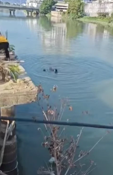 만취 상태의 아버지가 아내와 다투던 중 생후 얼마 되지 않은 자신의 아기를 강물에 내던지는 사건이 발생했다. 사진=더선