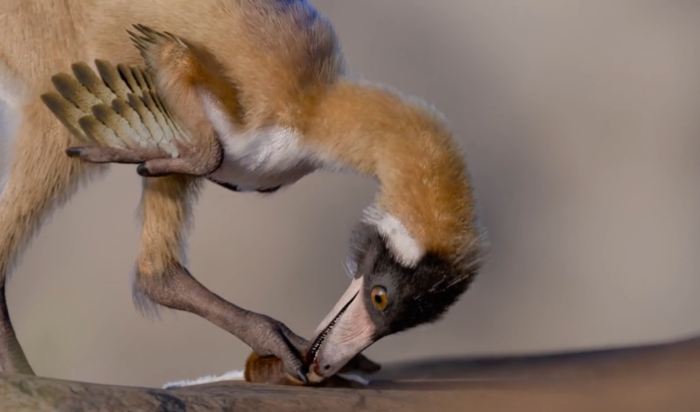 알나셰트리 세로폴리시엔시스 상상도. 사진=리오 네그로 국립대학교
