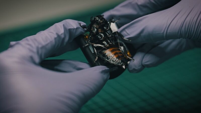 출처=링크드인(Stefan Wilhelm)