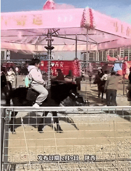 실제 회전목마 운영 영상. 사진=엑스