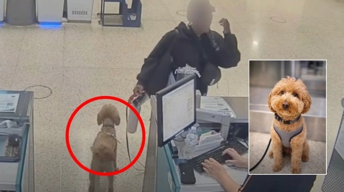 라스베이거스 해리 리드 공항에 유기된 골든두들. 사진=미 라스베이거스 경찰국