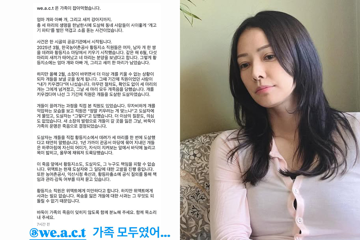 출처 : 손태영 SNS