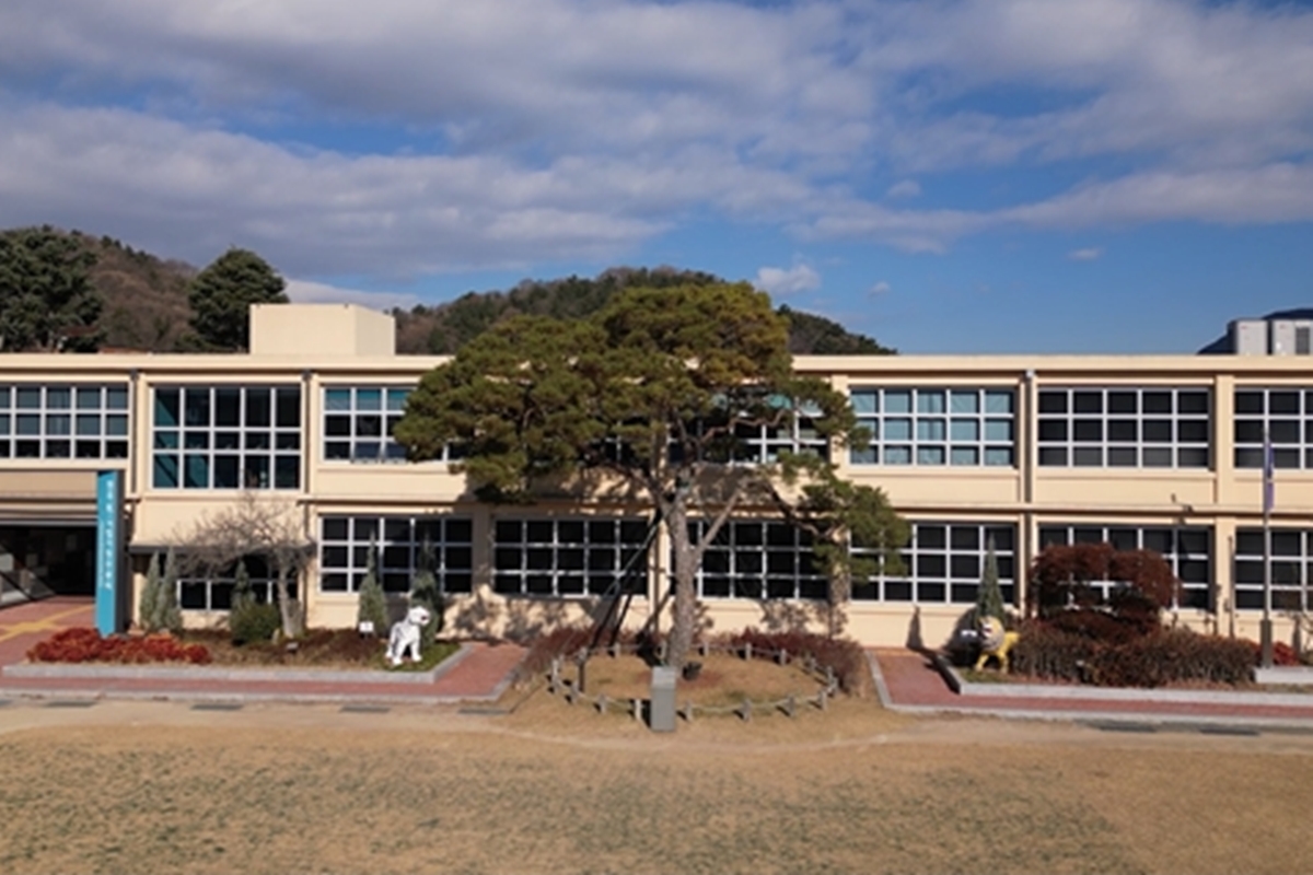 출처: SBS '꼬리에 꼬리를 무는 그날 이야기'