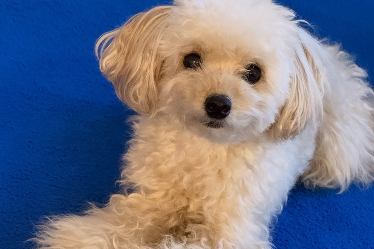 출처 : 김사랑 SNS