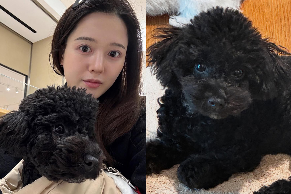 출처 : 남보라 SNS