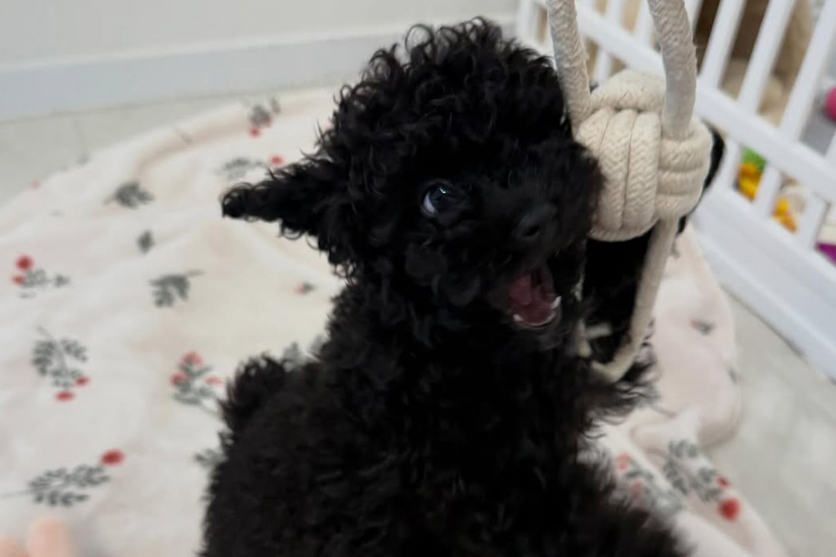 출처 : 남보라 SNS