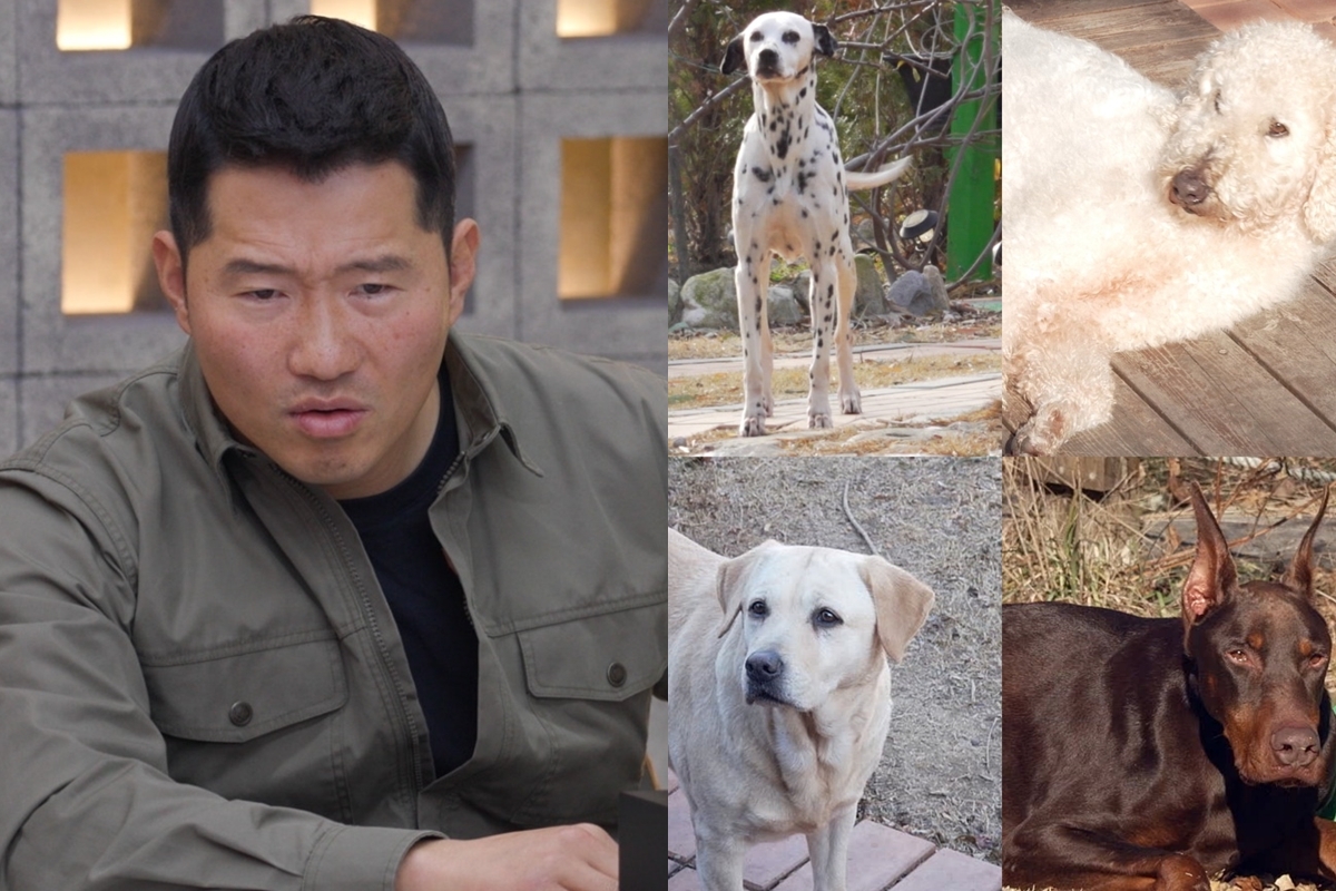 출처: 채널A '개와 늑대의 시간2'