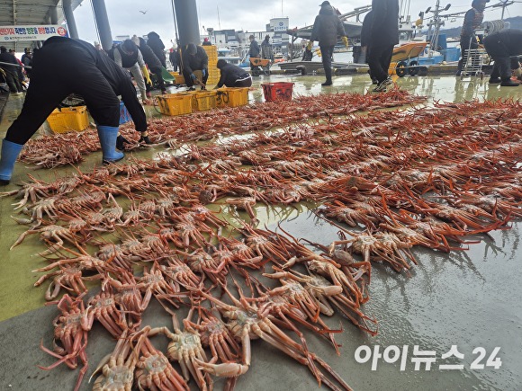 KTX Access to Uljin: Your Ultimate Guide to Enjoying Hot Springs and Winter Delicacies