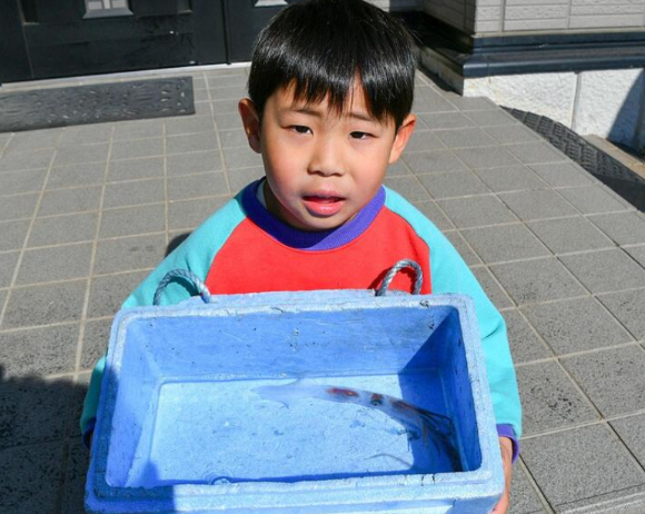 引用：ヤフージャパン