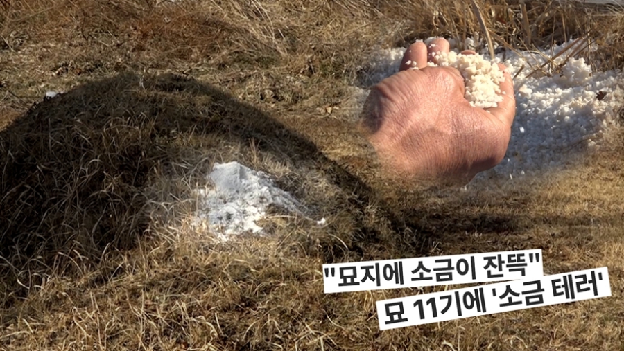 사진: SBS 제공