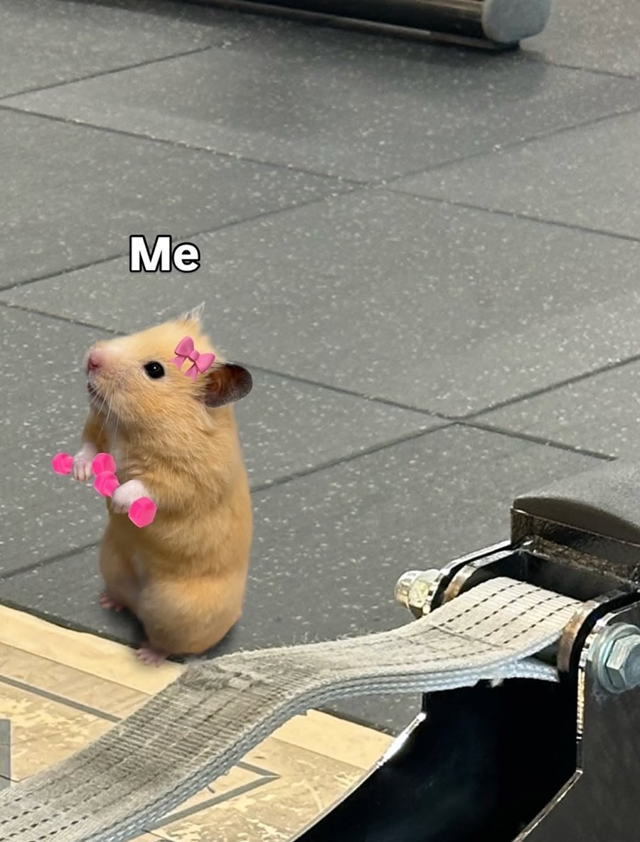 引用：ナッティのInstagramアカウント