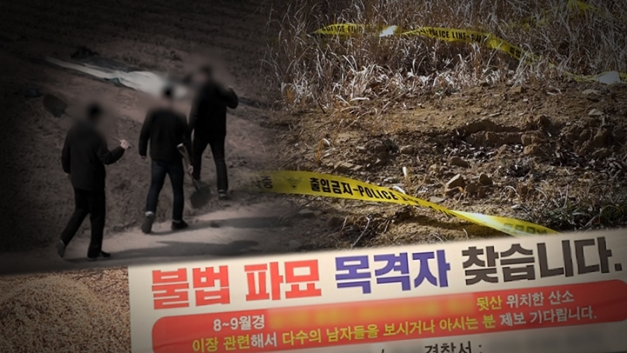 사진: SBS 제공