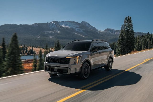 &nbsp;  The Kia Sorento HEV was the best-selling hybrid model last year, with 69,862 units sold. The Kia Sorento stands out in the lineup. /Hyundai Motor Group