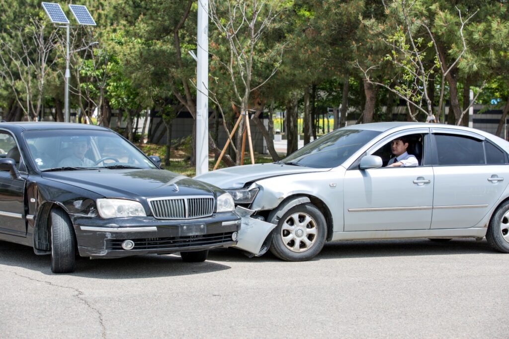 &nbsp;   A startling study by the Korea Transportation Safety Authority involving 669 taxi drivers revealed that the risk of accidents increases by an average of 4.7 times when driving while holding a pet.