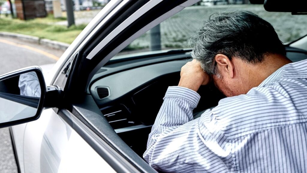 Driving with Pets: 4.7x Increased Accident Risk! Essential Safety Tips for Dog Owners