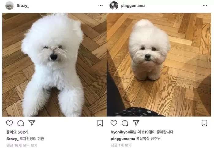 引用：オンラインコミュニティ