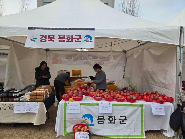 Discover the Sweetness: Why 봉화사과 is the Must-Try Apple for 설 명절 2023