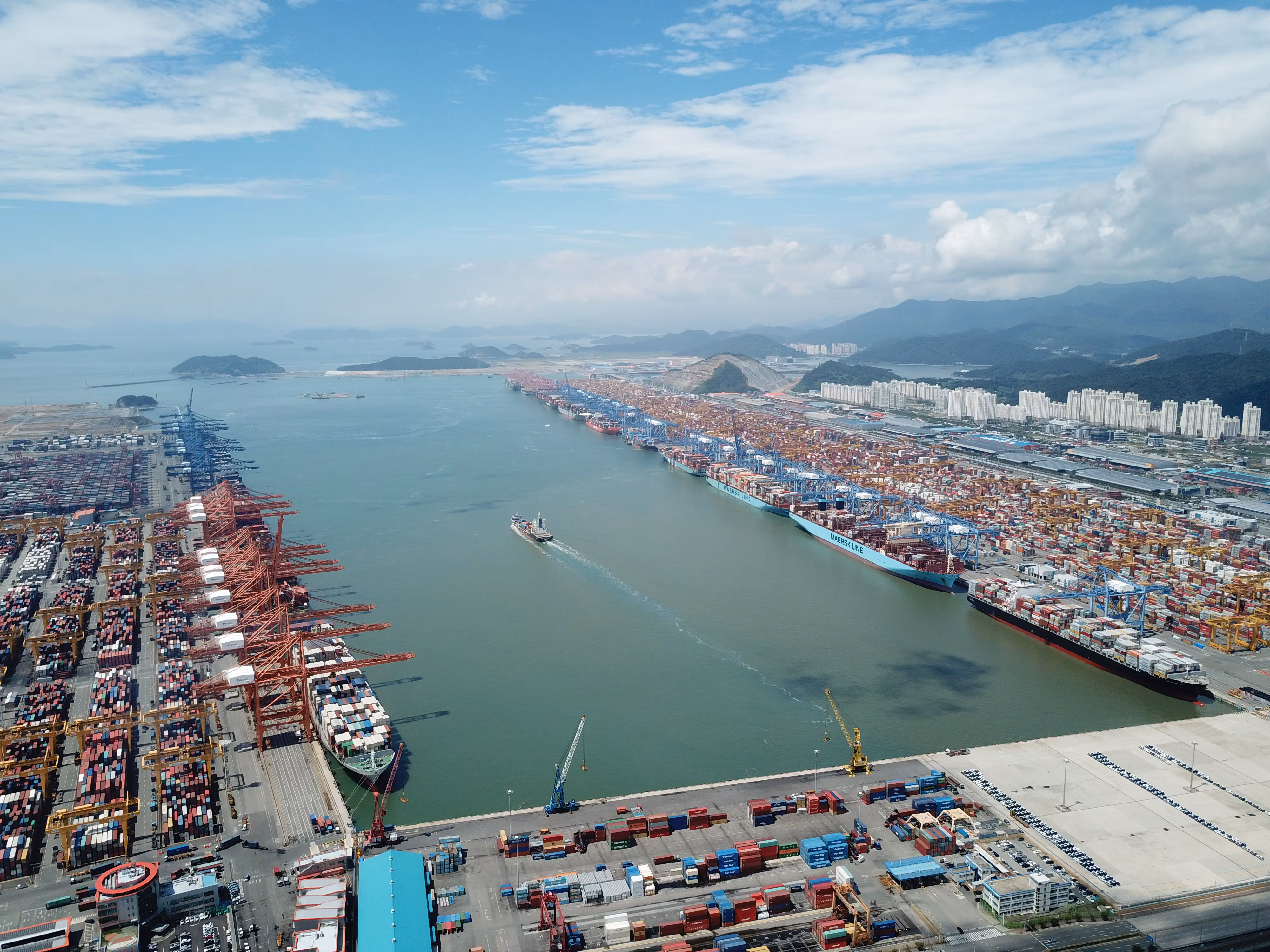 부산항 신항 모든 선석에 크고 작은 컨테이너선이 접안, 분주하게 하역작업을 벌이고 있다. /뉴스1