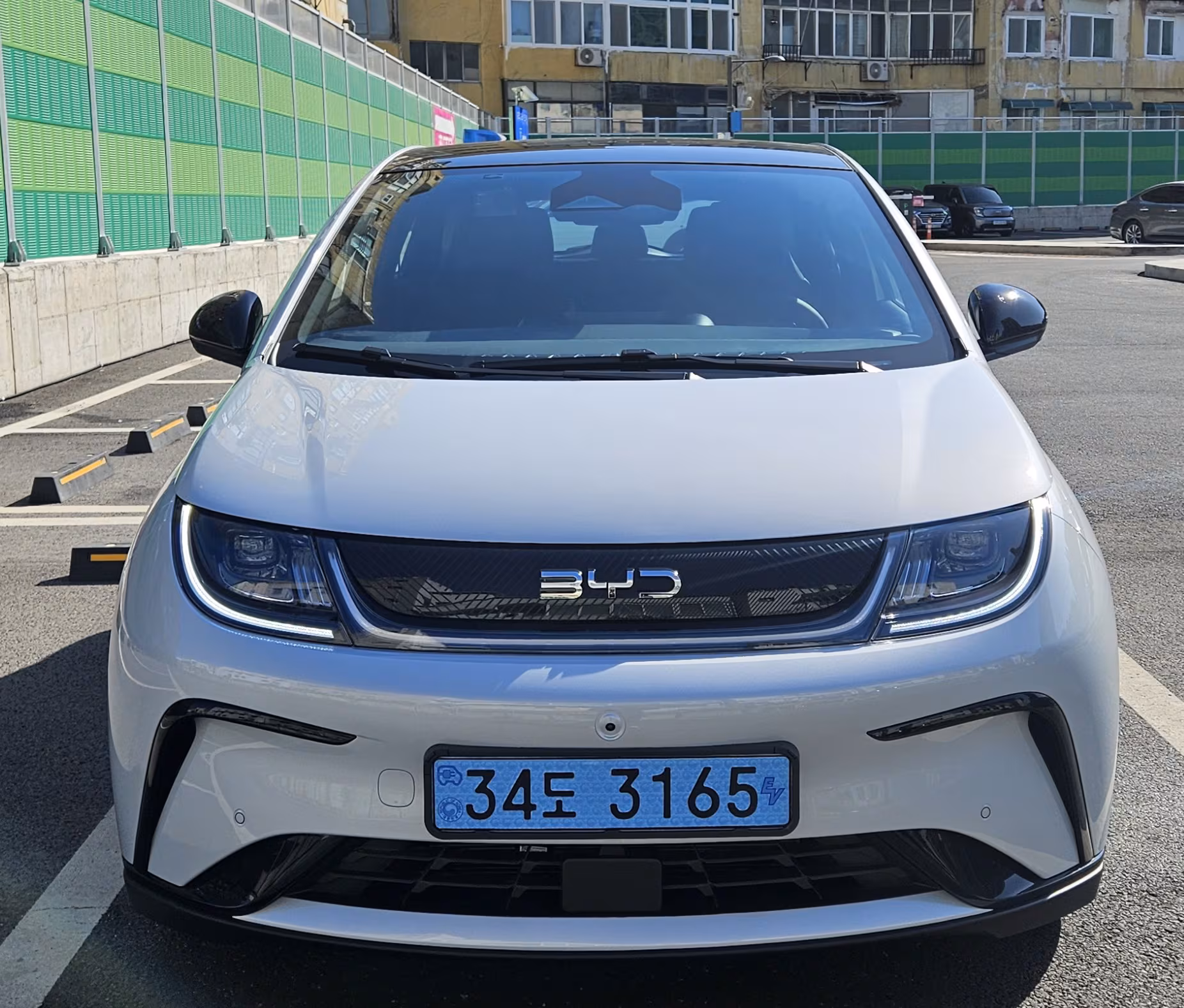 BYD 돌핀의 외관. /김지환 기자