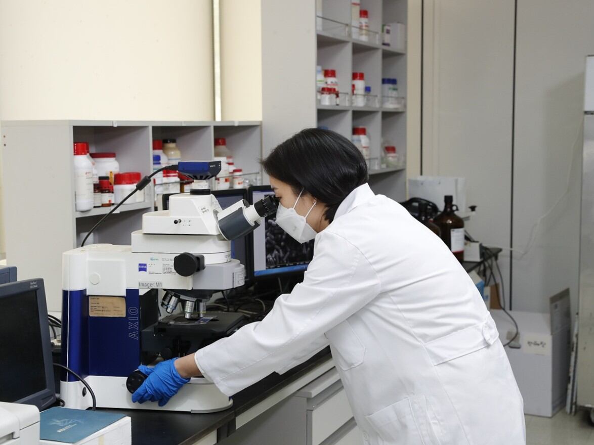 hy가 자체 개발한 특허 유산균 'HY2782'의 장 염증 예방 효과를 확인하고, 관련 논문을 SCI급 국제학술지에 게재했다고 11일 밝혔다. /hy 제공