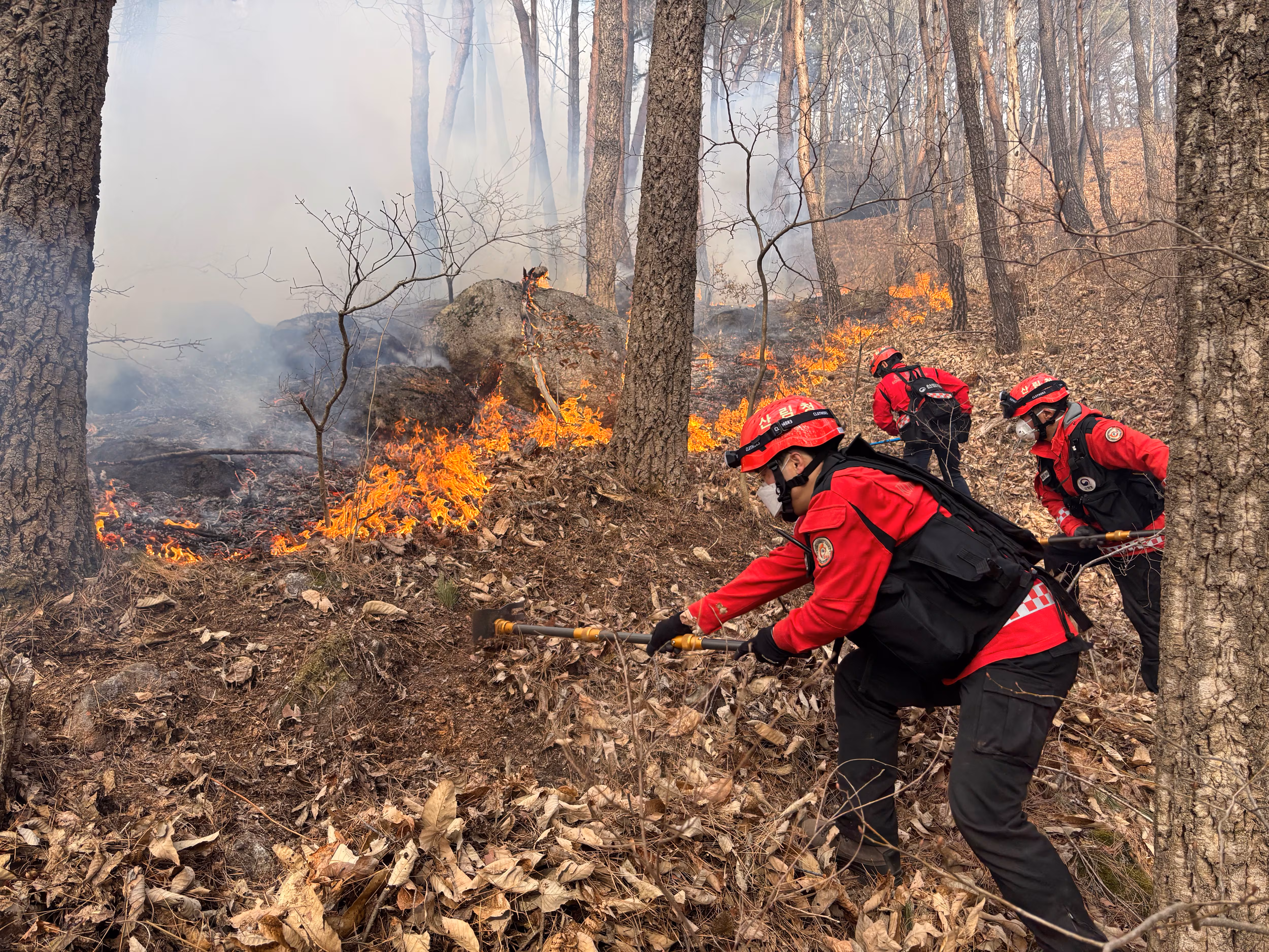 함양 산불 진화 작업 중인 산림재난특수진화대원./산림청