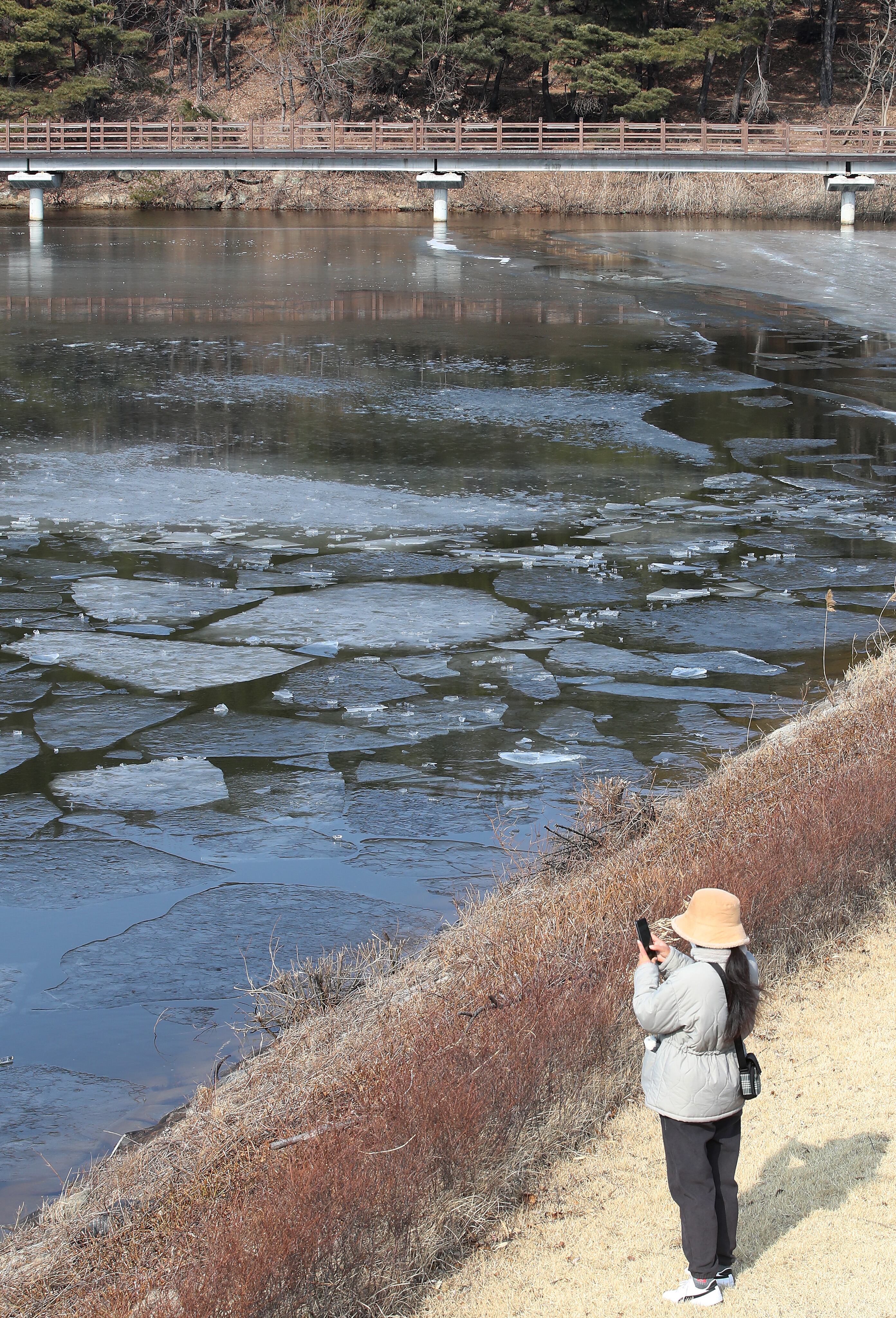 지난달 29일 경북 구미시 신동 학서지 생태공원에 얼음이 녹아 곳곳이 갈라져 있다. /뉴스1