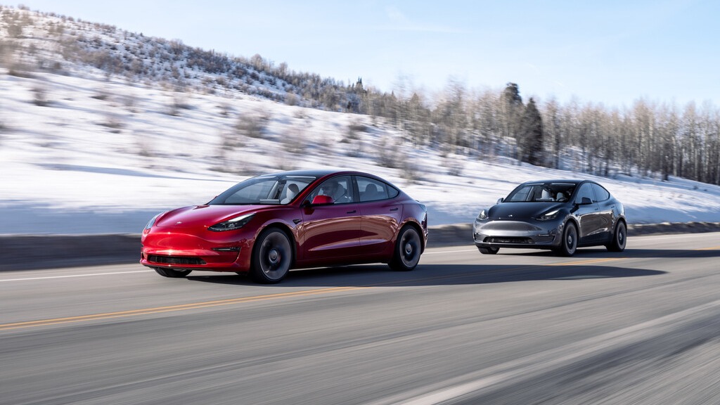 테슬라 모델 3와 모델 Y. / 테슬라