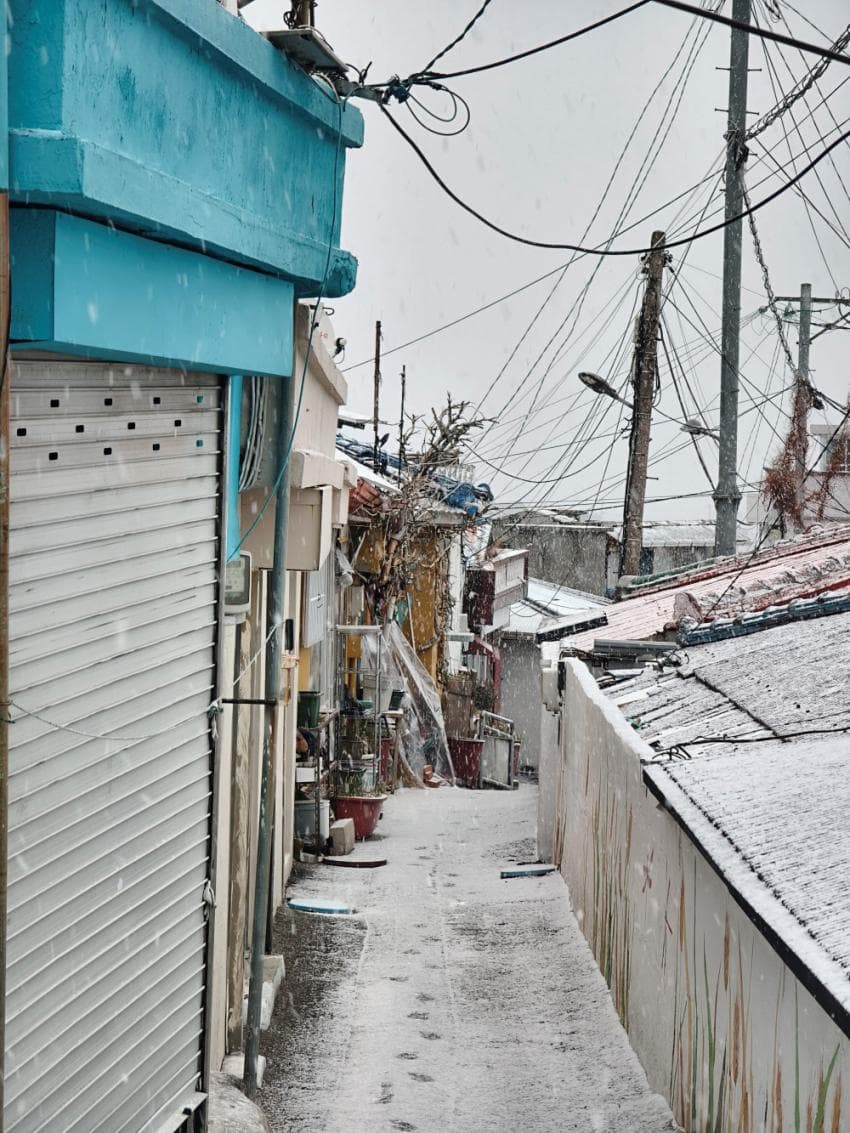 viewimage.php?id=2ebcc235edd32aaf60b8&no=24b0d769e1d32ca73fe786fa1bd62531832b22dcab9a6c88a2bcc7d84e72b8e2a0e82477de7a6196de48d3a7c2cc76e24dc3d1b550bcbd52a681123ac5fdd328e985f52b9cb0