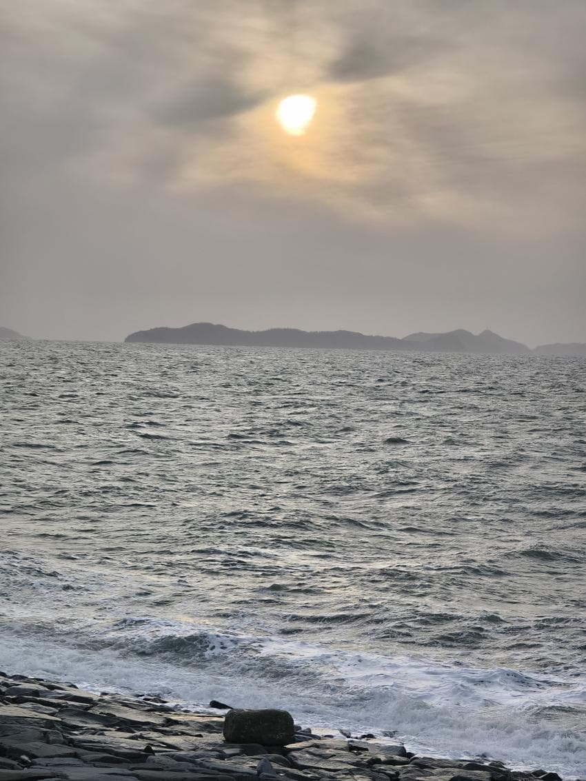 viewimage.php?id=2ebcc235edd32aaf60b8&no=24b0d769e1d32ca73fe786fa1bd62531832b22dcab9a6c88a2bcc7d84e72b9e216cb7302963423dfa421cf16f60c6f0e8ea7584d27ac05ef18ea36c5ec46af12eba1263b3d6a