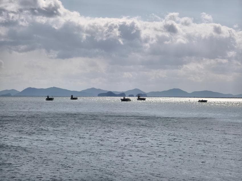 viewimage.php?id=2ebcc235edd32aaf60b8&no=24b0d769e1d32ca73fe786fa1bd62531832b22dcab9a6c88a2bcc7d84e72b8e2a0e82477de7a6196de48d3a7c2cc76ec8499ba5d4bdd34f1af09a17730d0506e31997a775af2