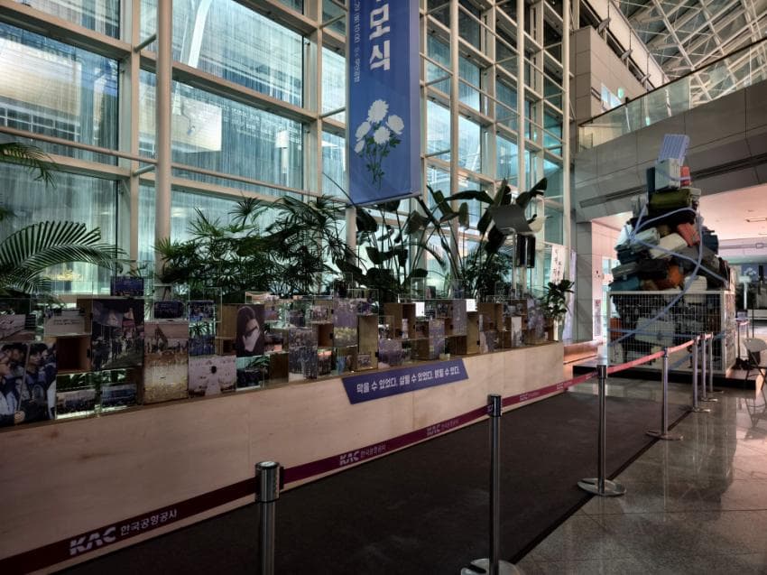 viewimage.php?id=2ebcc235edd32aaf60b8&no=24b0d769e1d32ca73fe786fa1bd62531832b22dcab9a6c88a2bcc7d84e72b8e2a0e82477de7a6196de48d3a7c2cc76edc0d451bf0a6d0e07c543579086cd73c04f24b503bbdc