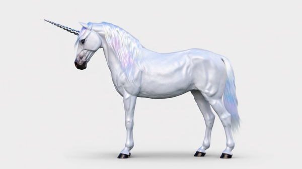 기업 가치 10억달러 이상 평가받는 유니콘 기업 [사진: Reve AI]