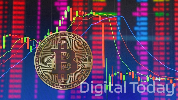 [사진: 셔터스톡]