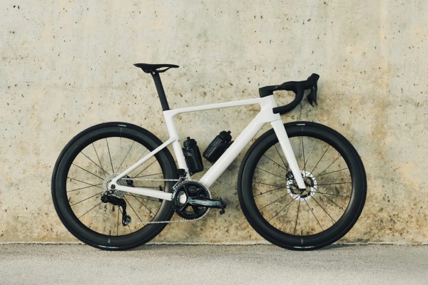 로즈 쉐이브 [사진: 로즈]